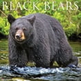 thumbnail image 1 of Black Bears 2023 Wall Calendar, 1 of 4