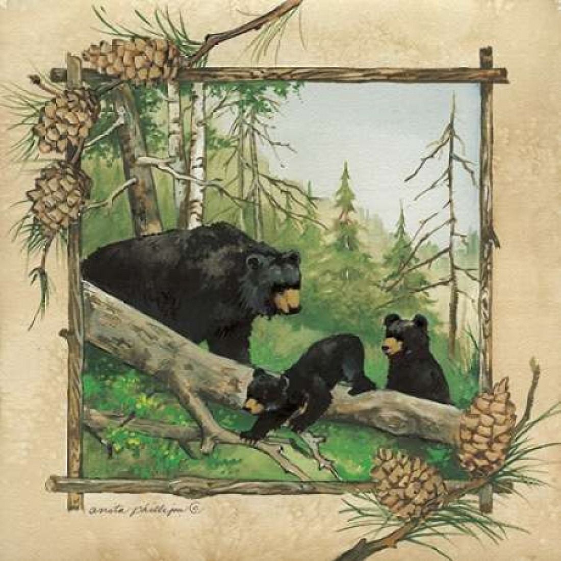 Black Bears IV Canvas Art - Anita Phillips (24 x 24)