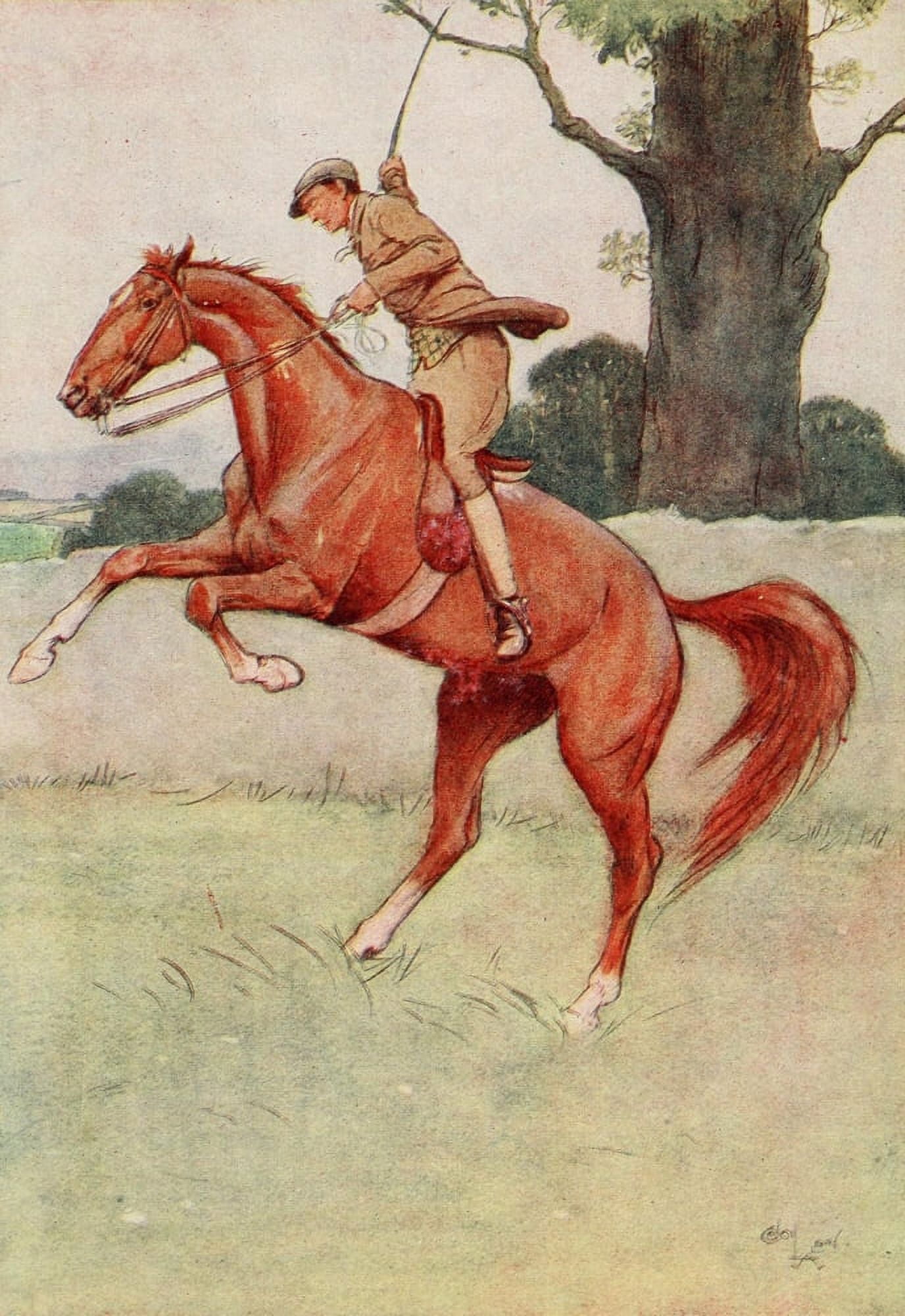 Black Beauty 1916 He reared up suddenly Canvas Art - Cecil Aldin (18 x 24)