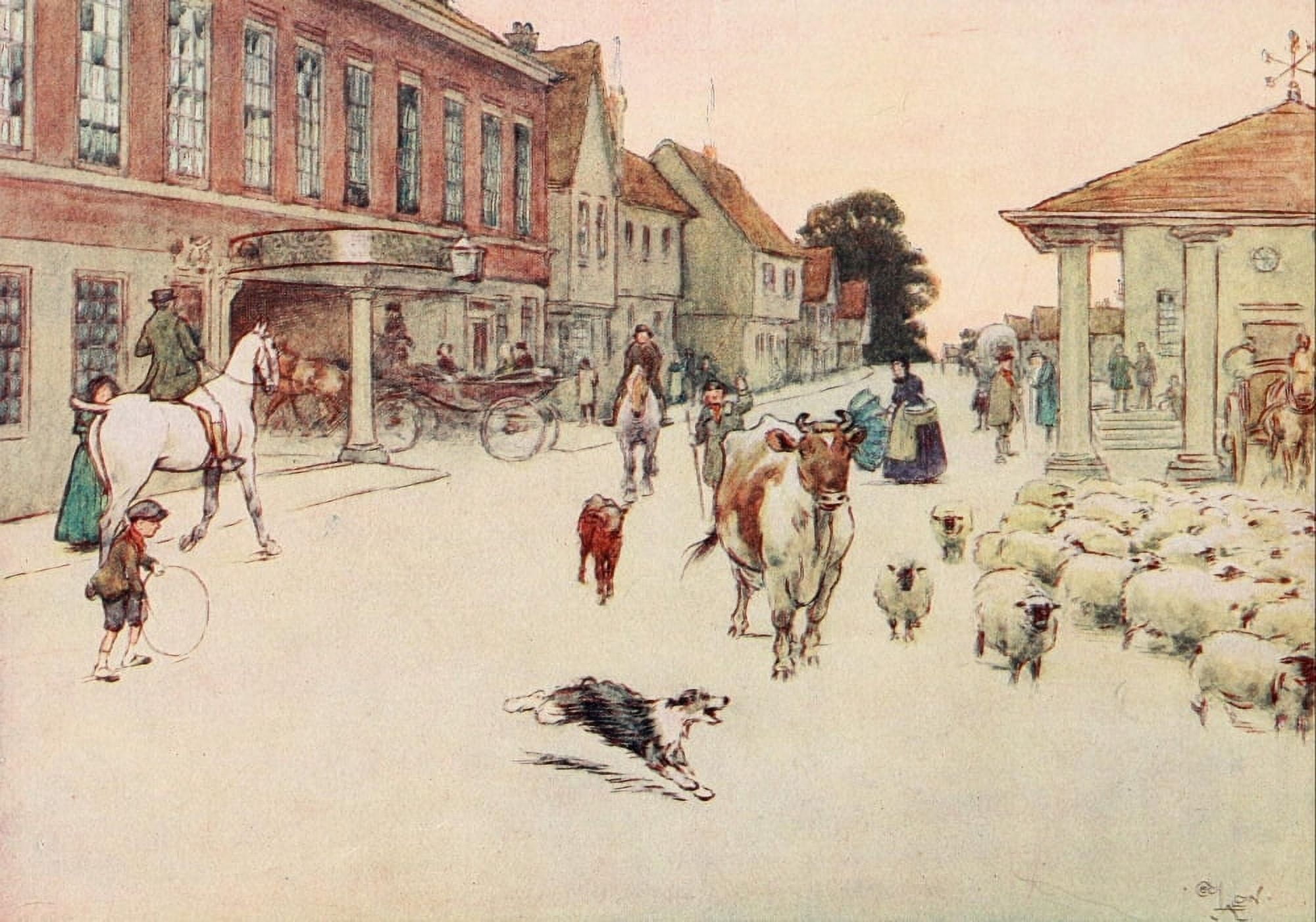 Black Beauty 1916 Hotel in the market place Canvas Art - Cecil Aldin (24 x 36)