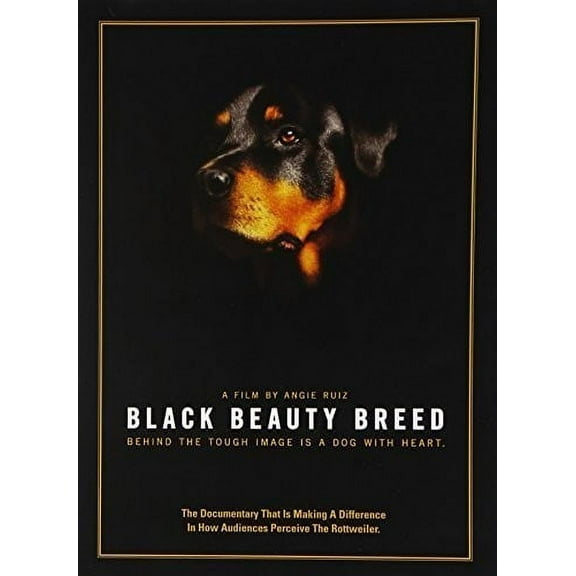 Black Beauty Breed (DVD)