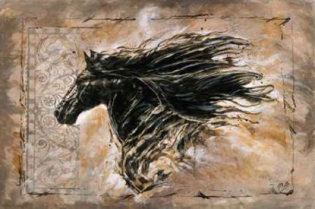 Black Beauty Canvas Art - Marta G Wiley (24 x 36)
