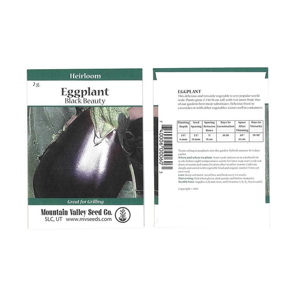Black Beauty Eggplant Garden Seeds - 2 Gram Packet - Non-GMO, Heirloom Vegetable Gardening Seed - Solanum melongena