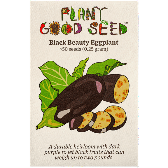 Black Beauty Eggplant Seeds