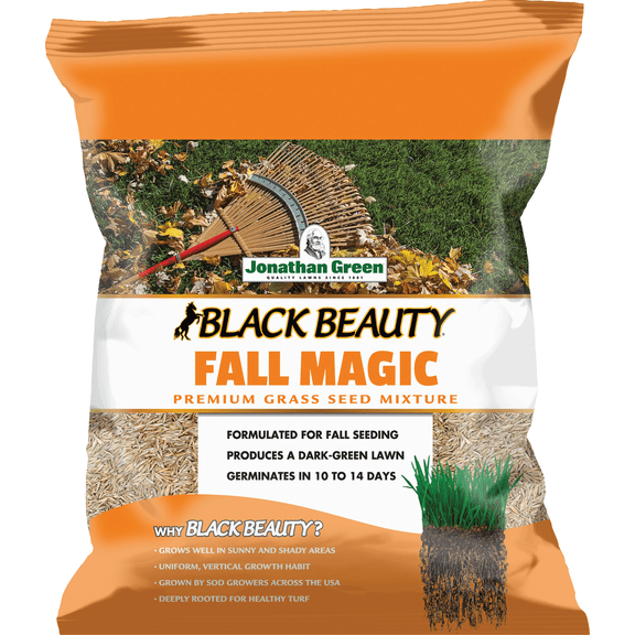 Jonathan Green Black Beauty Fall Magic Grass Seed Mixture - Pack of 2  Lawn & Landscape Use, Easy Application