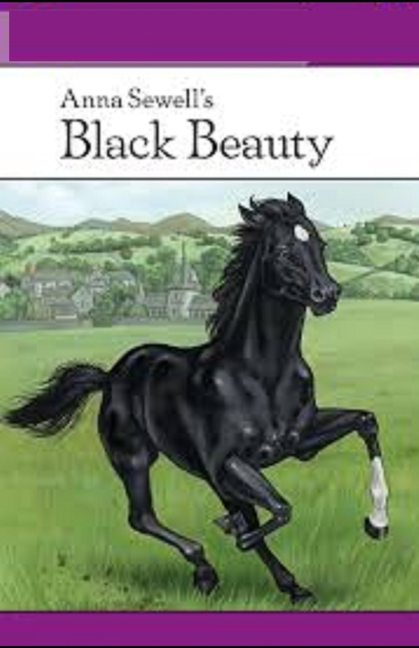Black Beauty Illustrated (Paperback)