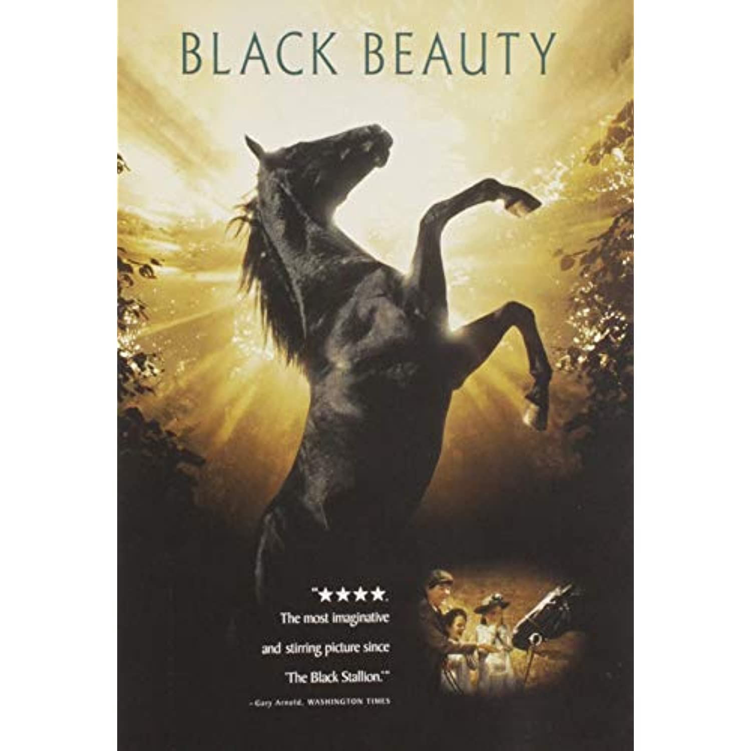 ワイルドブラックTHE BLACK STALLION USオリジナル映画ポスター ワイルドブラックTHE BLACK STALLION USオリジナル映画ポスター