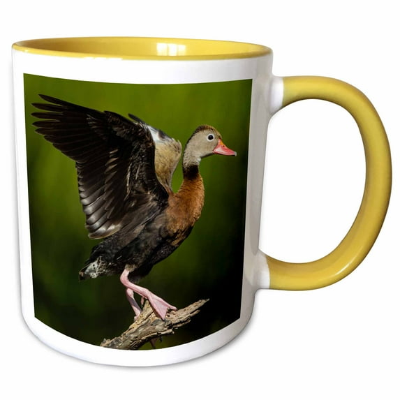 3drose, Black Bellied Whistling Duck Adult Perched in Tree, 11oz Two-tone Yellow Mug