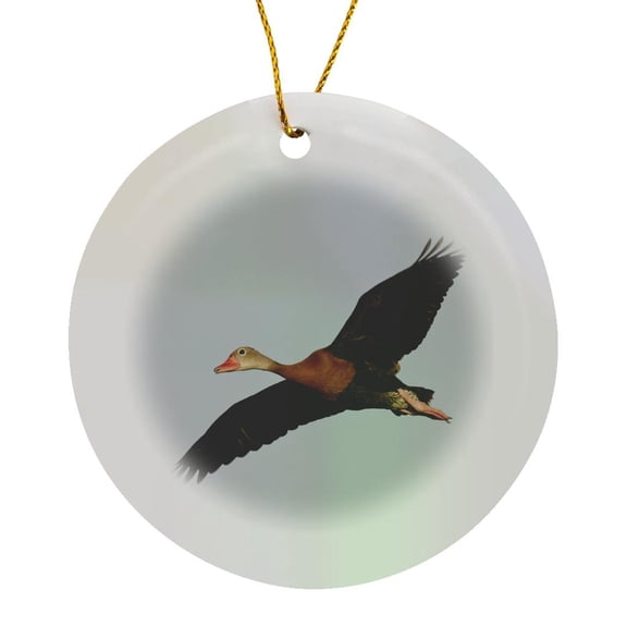 3drose, Black-bellied Whistling Duck, South Texas, Usa - Us44 Ldi0754 - Larry Ditto, Circle Porcelain Ornament