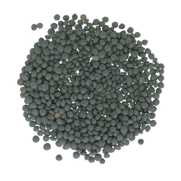 Black Beluga Caviar Lentils | 18 lbs | Non-GMO | Kosher | Versatile | Ideal for Healthy Cooking