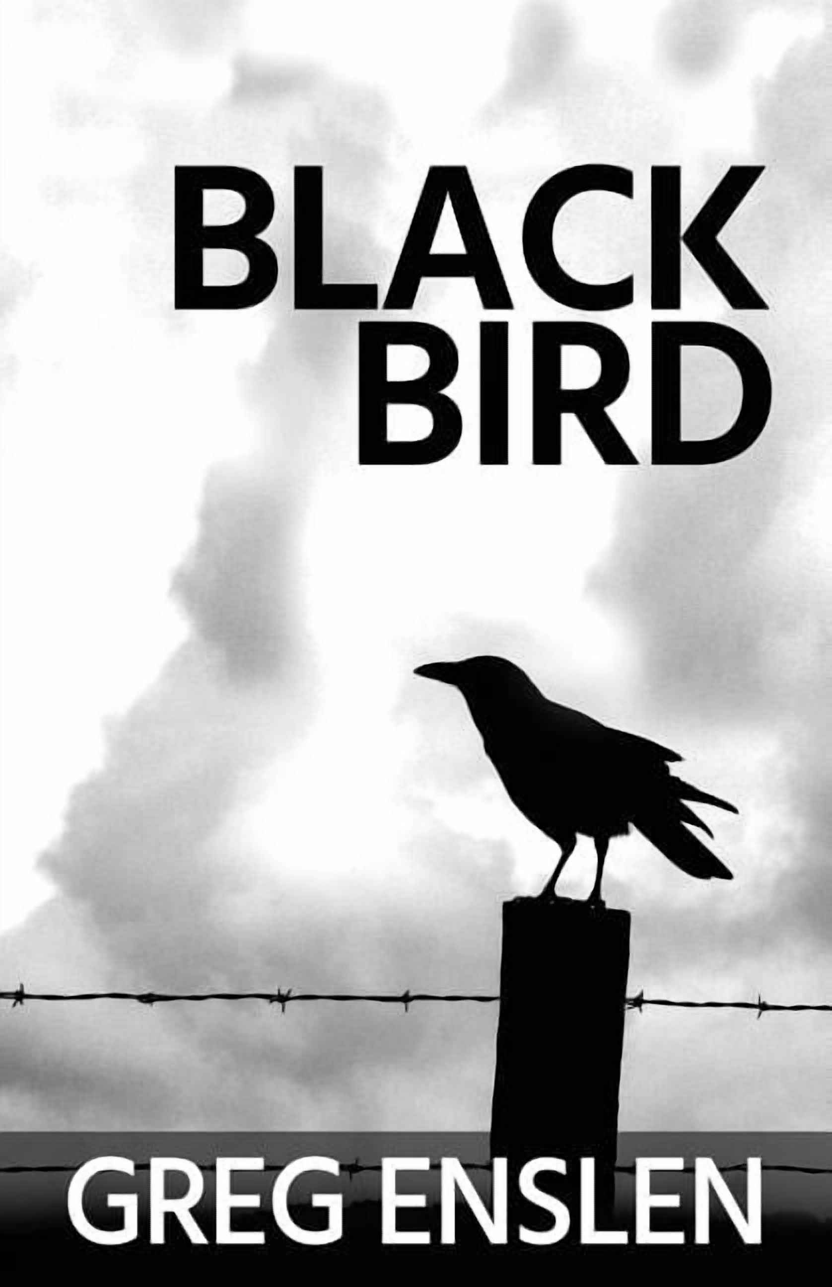 Black Bird - Walmart.com