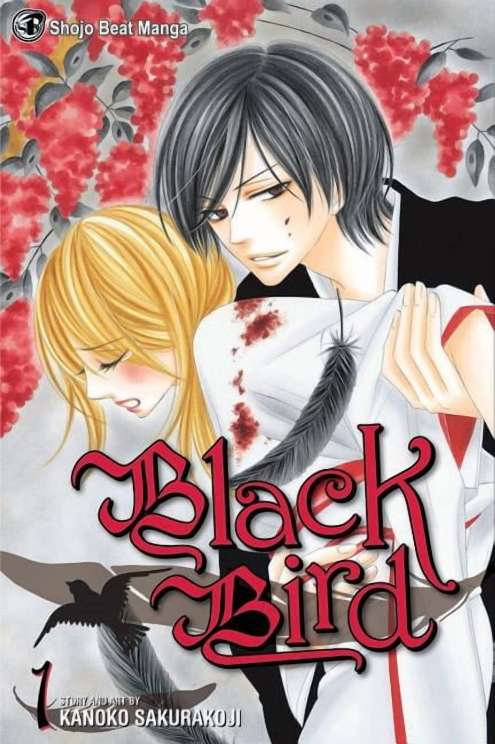 Black Bird Black Bird, Vol. 1, Book 1, (Paperback) - Walmart.com