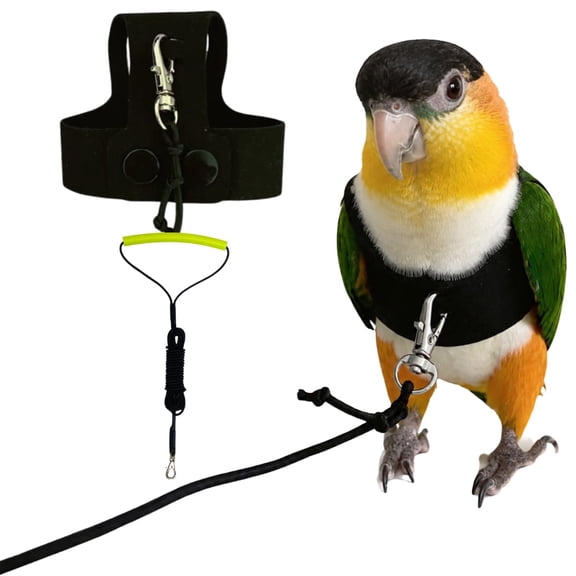 Black Bird Harness and Leash Set for Parrots, Faux Suede Flight Vest with Snap Button, Escape Proof Outdoor Walking Training Accessory for Cockatiel Conure Budgie Parakeet