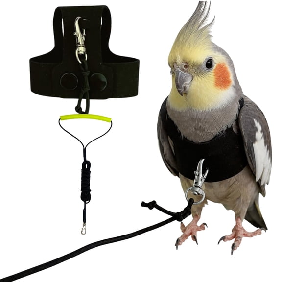 Black Bird Harness and Leash Set for Parrots, Faux Suede Flight Vest with Snap Button, Escape Proof Outdoor Walking Training Accessory for Cockatiel Conure Budgie Parakeet