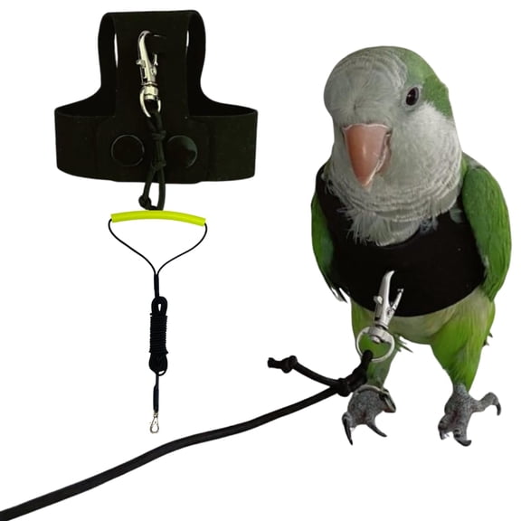 Black Bird Harness and Leash Set for Parrots, Faux Suede Flight Vest with Snap Button, Escape Proof Outdoor Walking Training Accessory for Cockatiel Conure Budgie Parakeet