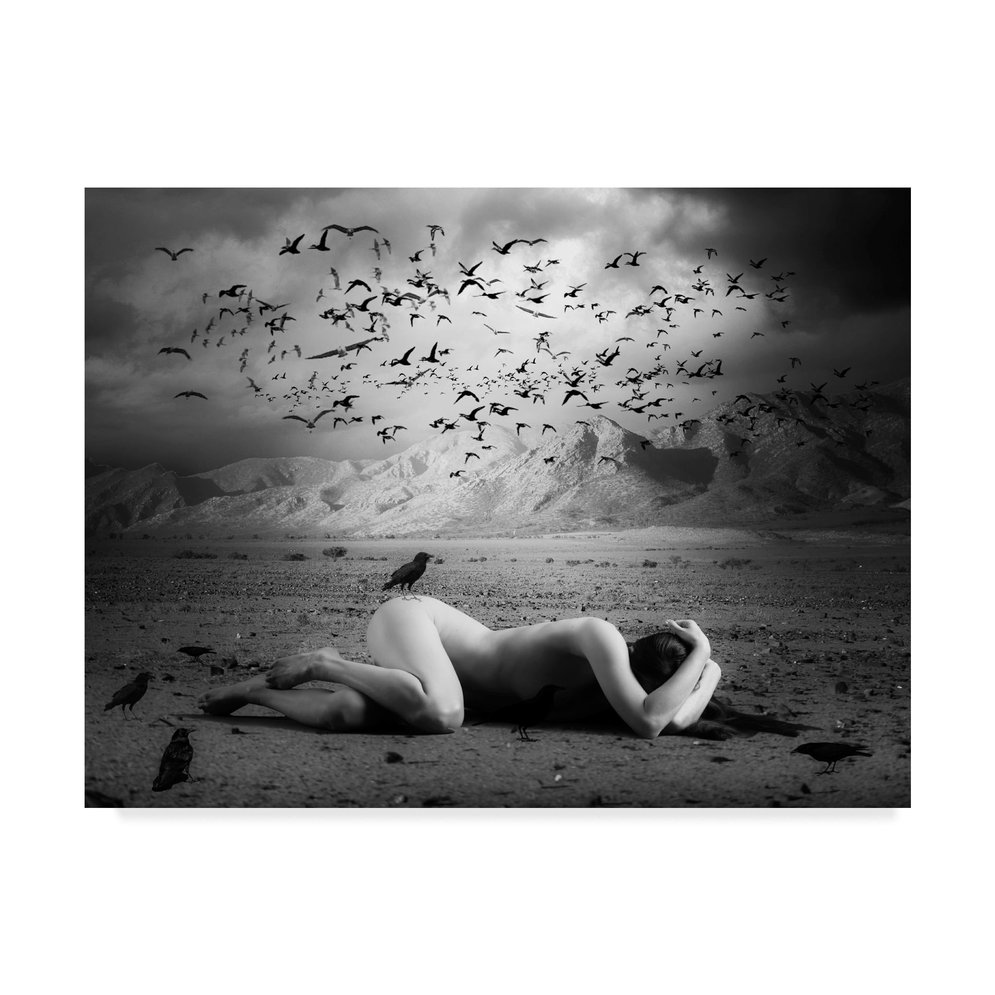 Black Bird Land 47 in x 35 in Photography Canvas Art Print, by Trademark Art