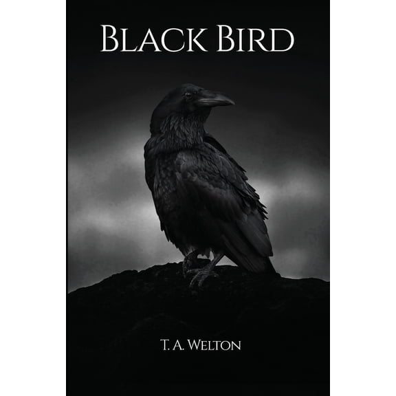 Black Bird, (Paperback)