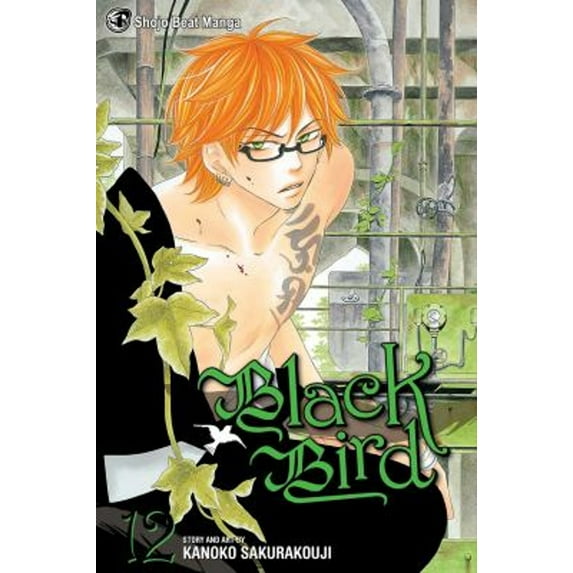Pre-Owned Black Bird, Volume 12 (Paperback) 1421540525 9781421540528