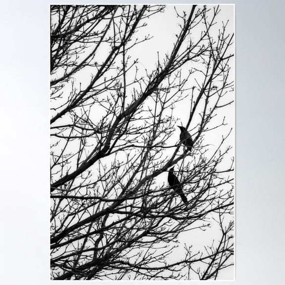Black Birds In Tree Poster Wall Art, Modern Wall Decor For Living Room Bedroom, 8x12 UNFRAMED