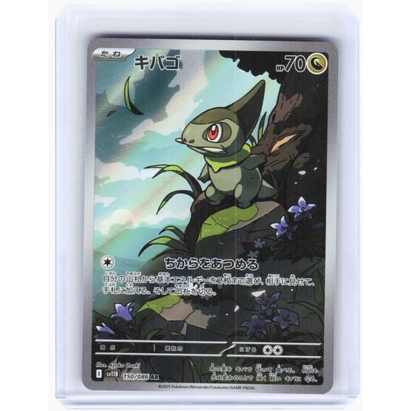 Black Bolt Axew Holo Art Rare Japanese #150
