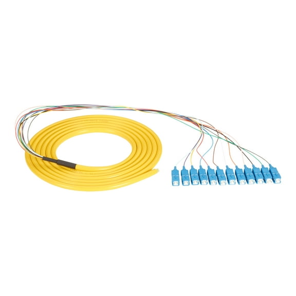 Black Box 9.8ft Pigtail to 12-Strand SC Fiber Optic Cable Yellow FOPT50S1SC12YL3