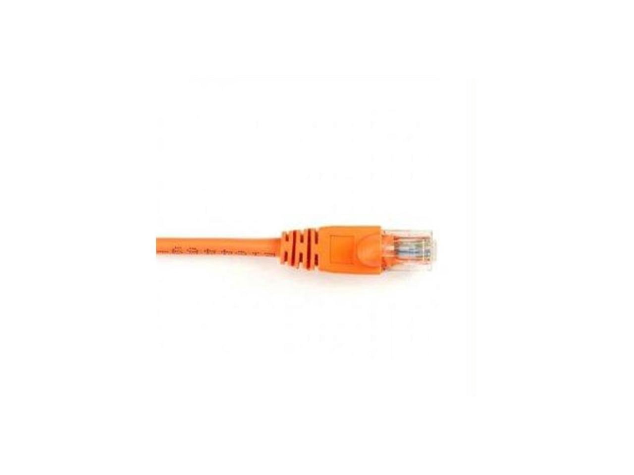 Black Box CAT6 Value Line Patch Cable, Stranded, Orange, 1-ft. (0.3-m ...