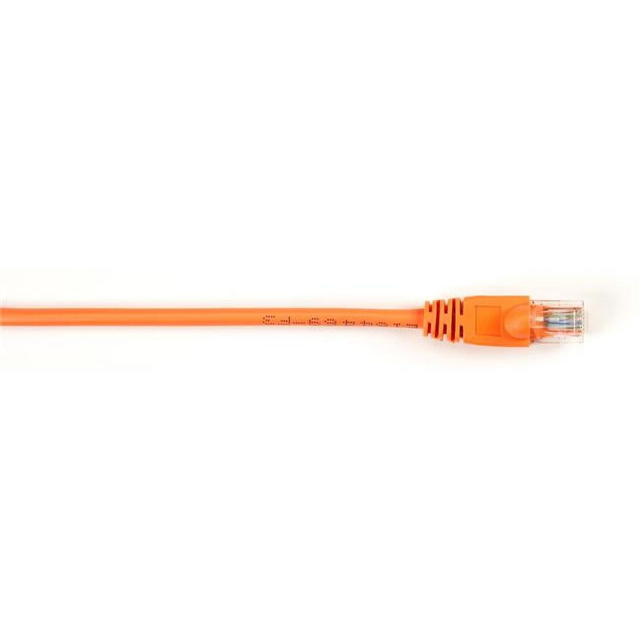 Black Box CAT6PC-002-OR 2 ft. Cat6 Value Line Patch Cable, Stranded, Orange