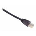thumbnail image 1 of Black Box GigaTrue 550 - Patch cable - RJ-45 (M) to RJ-45 (M) - 50 ft - CAT 6 - booted, snagless, stranded - purple, 1 of 2
