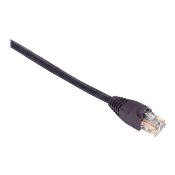 Black Box GigaBase 350 - Patch cable - RJ-45 (M) to RJ-45 (M) - 1 ft - UTP - CAT 5e - booted, snagless, stranded - purple