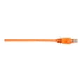 thumbnail image 1 of 5FT CAT6 ORANGE UTP PVC SNAGLESS PATCH CABLE 250 MHZ, 1 of 2