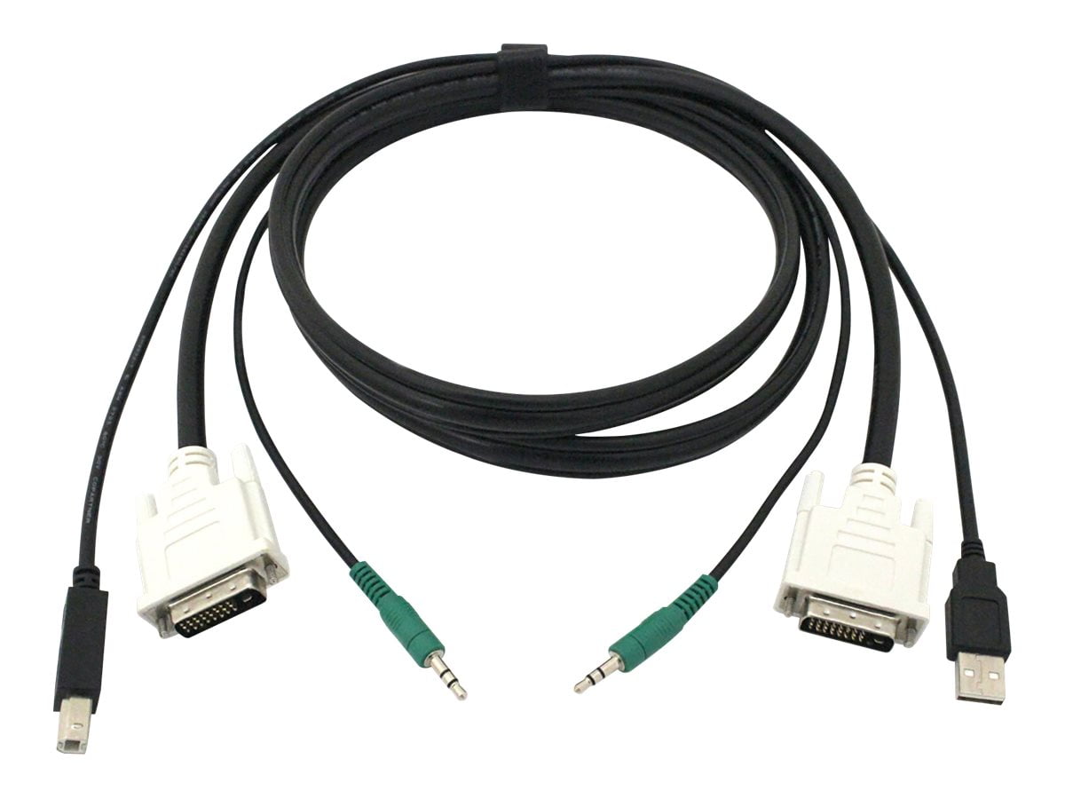 Black Box Secure DVI KVM Cable - USB A-B, 3.5mm Audio, 10-ft.