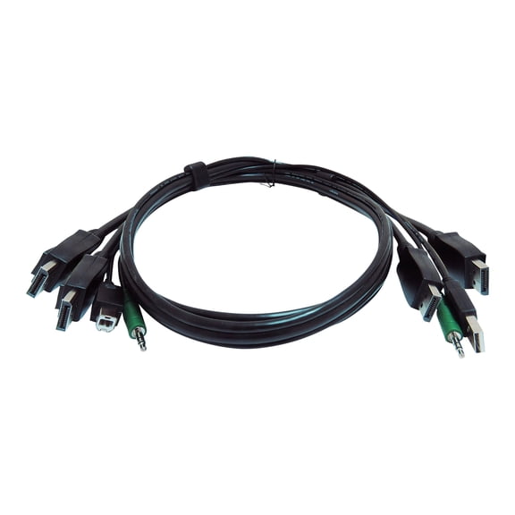 Black Box Secure KVM Cable - Each end (1) USB, (1) or (2) DisplayPort, (1) 3.5mm Audio