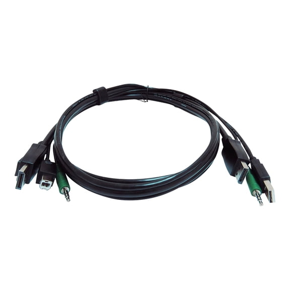 Black Box SKVMCBL-DP-10TAA 10 ft. KVM USB DisplayPort Cable with Audio - Black