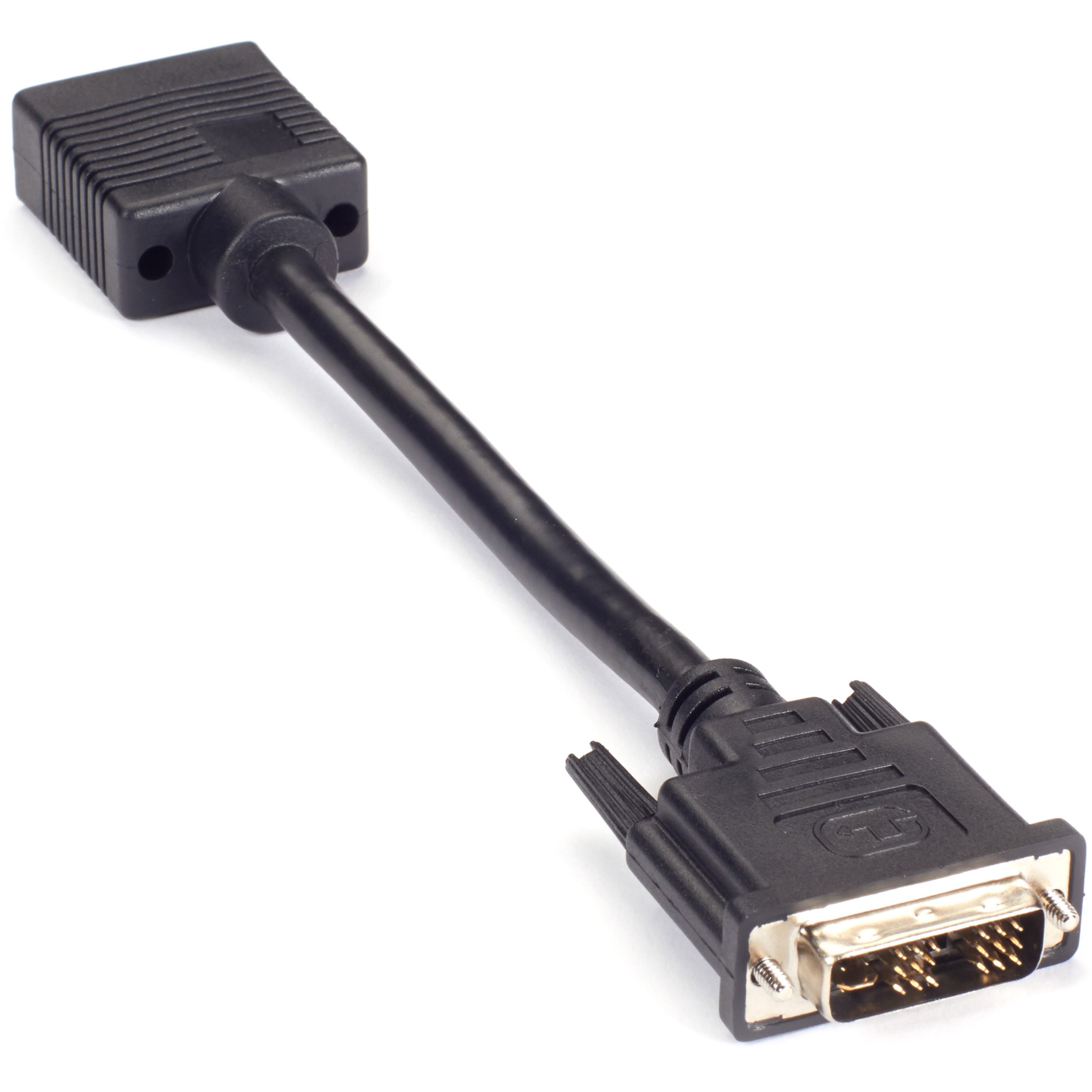 Black Box Video Adapter Dongle Dvi Male To Vga Female (VADVIIVGA