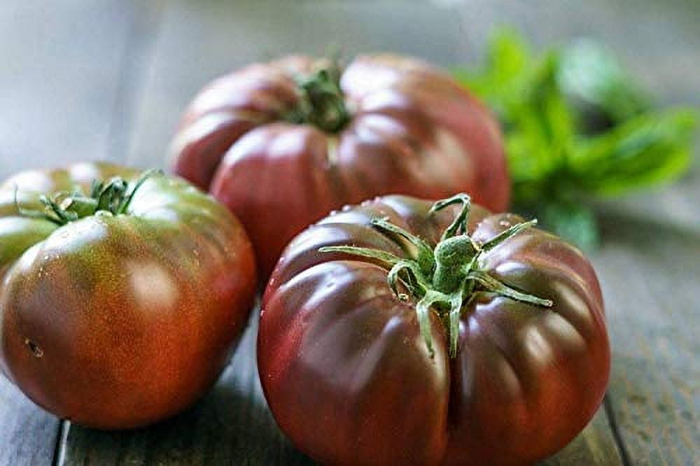 "Black Brandywine" Tomato Seeds, 100 Heirloom Seeds Per Packet, Non GMO Seeds
