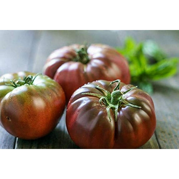 "Black Brandywine" Tomato Seeds, 100 Heirloom Seeds Per Packet, Non GMO Seeds