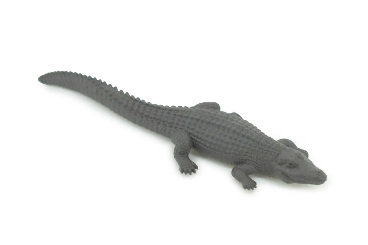 Black Caiman, Melanosuchus niger, Orinoco Crocodile, Educational