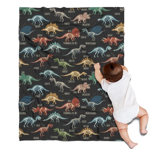 Black Cartoon Dinosaurs Infos Pattern Blanket,Comfortable Soft Flannel Throw Blanket,All Season,Warm Lightweight Blankets for Sofa Bed Couch Living Room Chair,30"x40"