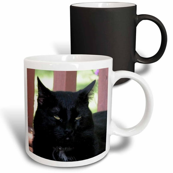 3drose, Black Cat, 11oz Magic Transforming Mug