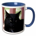 thumbnail image 1 of 3drose, Black Cat, 11oz Two-tone Blue Mug, 1 of 6