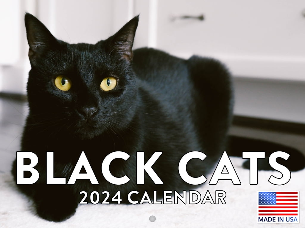 Black Cat 2024 Wall Calendar Black Cat 2024 Calendar