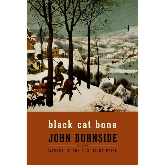 Black Cat Bone: Poems, (Paperback)
