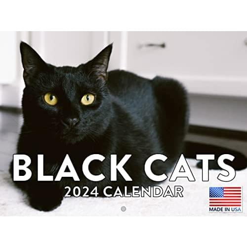 Black Cat Calendar 2024