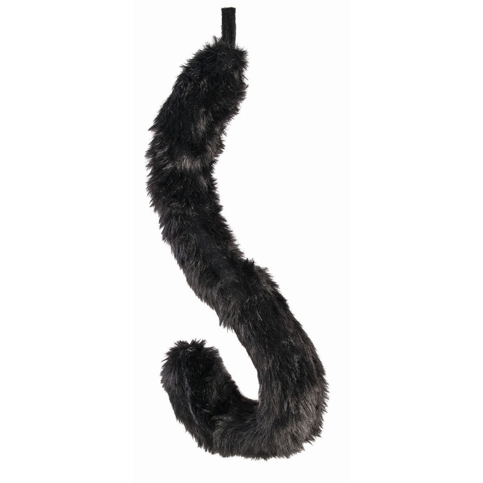 Black Cat Tail Black Cat Tail
