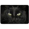thumbnail image 1 of Black Cat Doormat Indoor/Outdoor Small Rugs for Entryway Non Slip Home Decor Carpet Floor Mat Anti-Slip Kitchen Rugs Durbale and Washable Front Door Mats 36x24Inch, 1 of 5