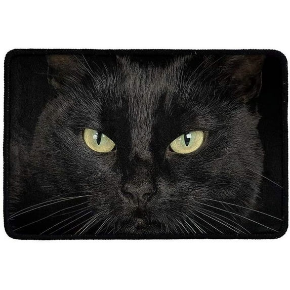 Black Cat Doormat Indoor/Outdoor Small Rugs for Entryway Non Slip Home Decor Carpet Floor Mat Anti-Slip Kitchen Rugs Durbale and Washable Front Door Mats 36x24Inch