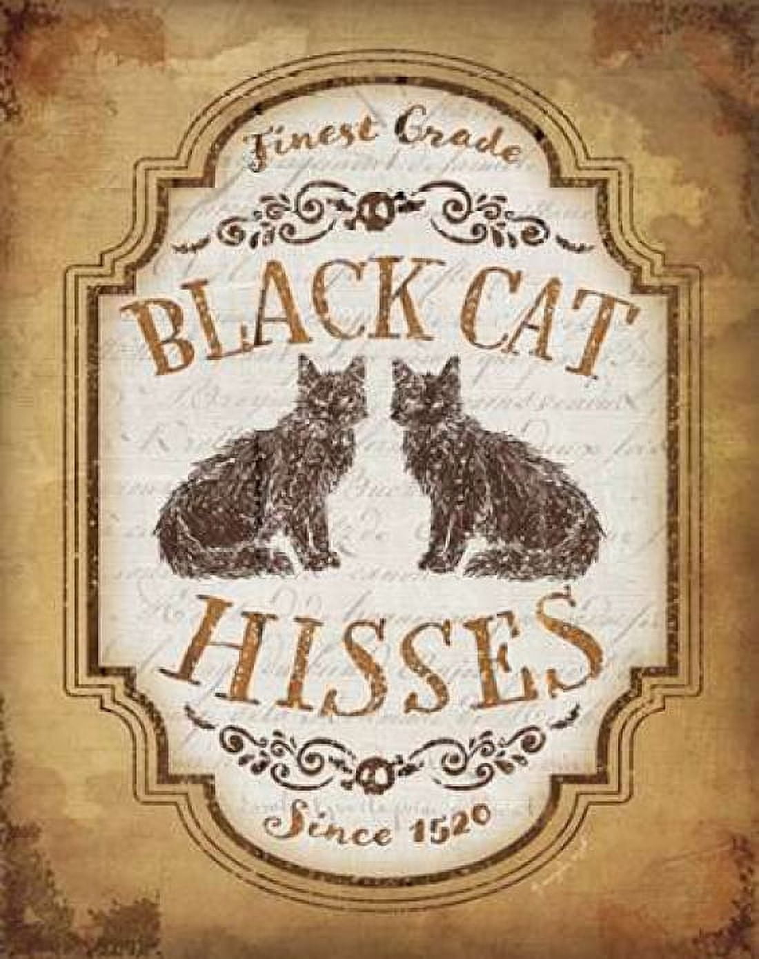 Black Cat Hisses Canvas Art - Jennifer Pugh (22 x 28)
