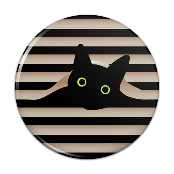 Black Cat In Window Pinback Button Pin