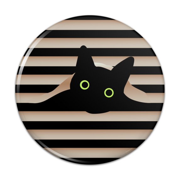 Black Cat In Window Pinback Button Pin