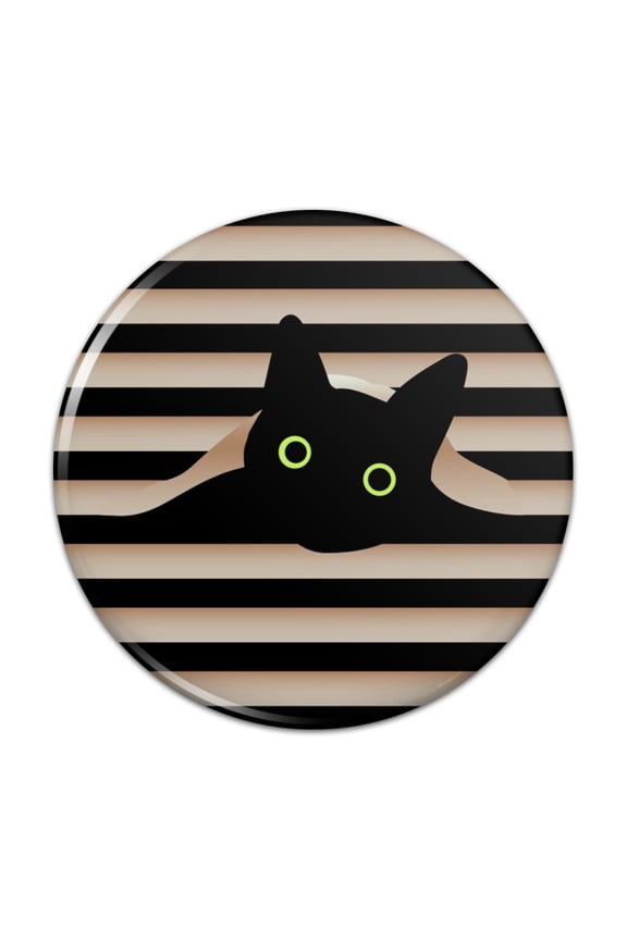 Black Cat In Window Pinback Button Pin